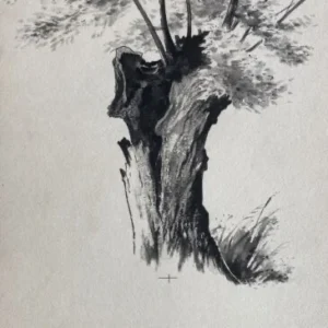 „Das Waldbuch Seite 80“ Tusche von Johannes  Breitmeier Tiermaler selten