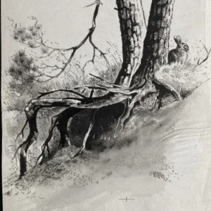 „Das Waldbuch Seite 79“ Tusche von Johannes  Breitmeier Tiermaler selten