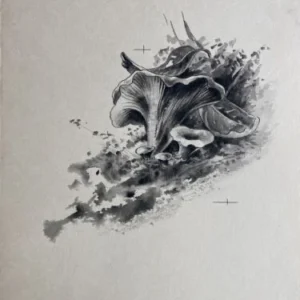 „Das Waldbuch Seite 78“ Tusche von Johannes  Breitmeier Tiermaler selten