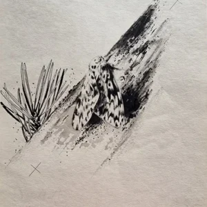 „Das Waldbuch Seite 181“ Tusche von Johannes  Breitmeier Tiermaler selten