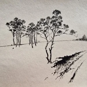 „Das Waldbuch Seite 179“ Tusche von Johannes  Breitmeier Tiermaler selten