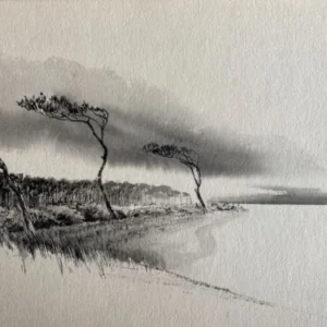 „Das Waldbuch Seite 207“ Tusche von Johannes  Breitmeier Tiermaler selten