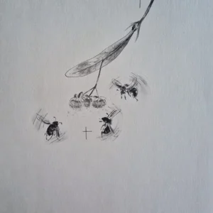 „Das Waldbuch Seite 150“ Tusche von Johannes  Breitmeier Tiermaler selten