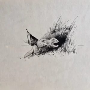 „Das Waldbuch Seite 226“ Tusche von Johannes  Breitmeier Tiermaler selten