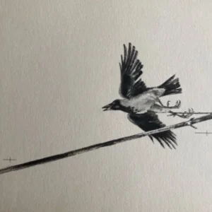 „Das Waldbuch Seite 34“ Tusche von Johannes  Breitmeier Tiermaler selten