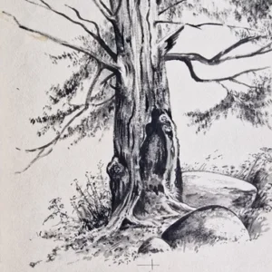 „Das Waldbuch Seite 172“ Tusche von Johannes  Breitmeier Tiermaler selten