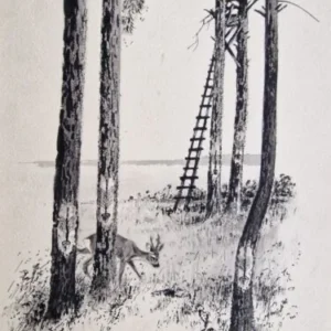 „Das Waldbuch Seite 213“ Tusche von Johannes  Breitmeier Tiermaler selten