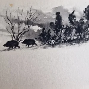 „Das Waldbuch Seite 170“ Tusche von Johannes  Breitmeier Tiermaler selten