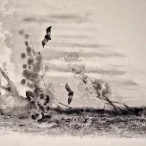 „Das Waldbuch Seite 162“ Tusche von Johannes  Breitmeier Tiermaler selten