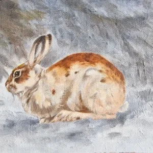 „Hase„ Öl auf Leinwand von Johannes  Breitmeier Tiermaler selten