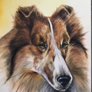 „Collie„ Aquarell von Johannes  Breitmeier“ Tiermaler selten
