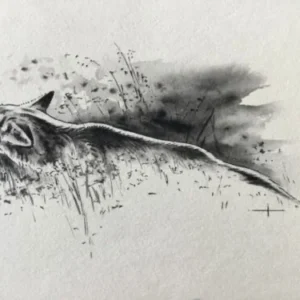 „Das Waldbuch Seite 64“ Tusche von Johannes  Breitmeier Tiermaler selten