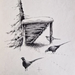 „Das Waldbuch Seite 281“ Tusche von Johannes  Breitmeier Tiermaler selten