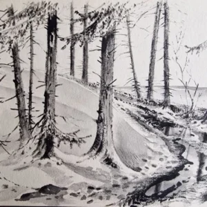 „Das Waldbuch Seite 276“ Tusche von Johannes  Breitmeier Tiermaler selten