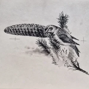 „Das Waldbuch Seite 251“ Tusche von Johannes  Breitmeier Tiermaler selten