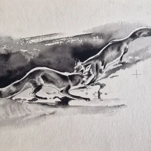 „Das Waldbuch Seite 247“ Tusche von Johannes Breitmeier Tiermaler selten