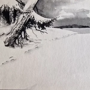 „Das Waldbuch Seite 244“ Tusche von Johannes  Breitmeier Tiermaler selten