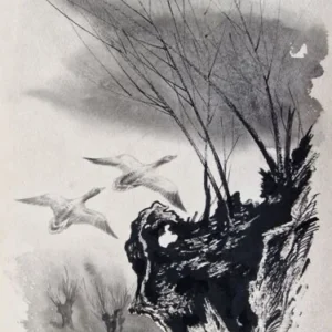 „Das Waldbuch Seite 238“ Tusche von Johannes  Breitmeier Tiermaler selten