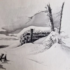 „Das Waldbuch Seite 263“ Tusche von Johannes  Breitmeier Tiermaler selten