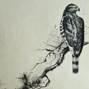 „Das Waldbuch Seite 199“ Tusche von Johannes  Breitmeier Tiermaler selten