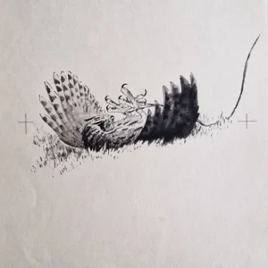 „Das Waldbuch Seite 203“ Tusche von Johannes  Breitmeier Tiermaler selten