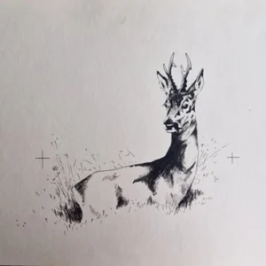 „Das Waldbuch Seite 166“ Tusche von Johannes  Breitmeier Tiermaler selten