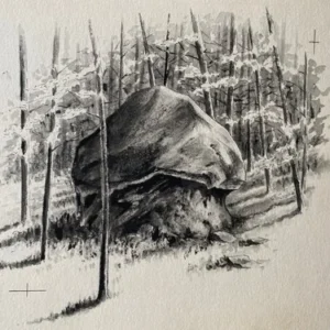 „Das Waldbuch Seite 70“ Tusche von Johannes  Breitmeier Tiermaler selten