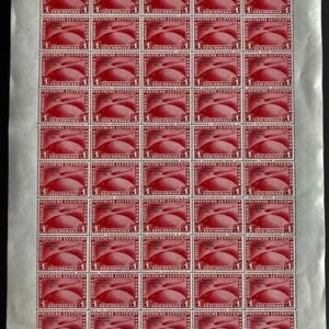 1 RM Chicacofahrt postfrisch im Bogen - Winter-Fälschung-selten